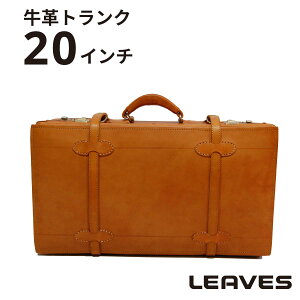 LEAVES(꡼֥) ϥɥᥤ ץȥ 20 TT-020 CA  ̵  ι ȥ٥ ȥ  ǥ ƥꥢ ǥץ쥤 ƥ  쥶  ĥ