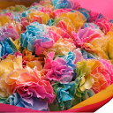 母の日 プレゼント レインボーカーネーション 100本花束 ◆母の日ギフト限定品
