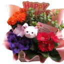 母の日 ギフト 猫 猫好き 猫入り 鉢植え おすすめ 人気 季節のお花お任せギフト スヌーピー入り 母の日 花鉢 プレゼント