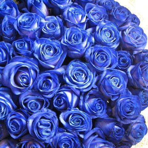 プロポーズ 花言葉「生まれ変わっても貴方を愛す」青バラ 花束 プリザーブドフラワー 青バラ33本使用 プリザーブドフラワー 花束 枯れずにいつまでもキレイな青バラ ギフト◆誕生日プレゼント・成人祝い・記念日の贈り物におすすめのフラワーギフト