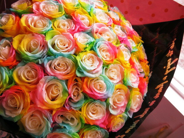 �쥤��ܡ������� �ץꥶ���֥ɥե� ��« 50�ܻ���