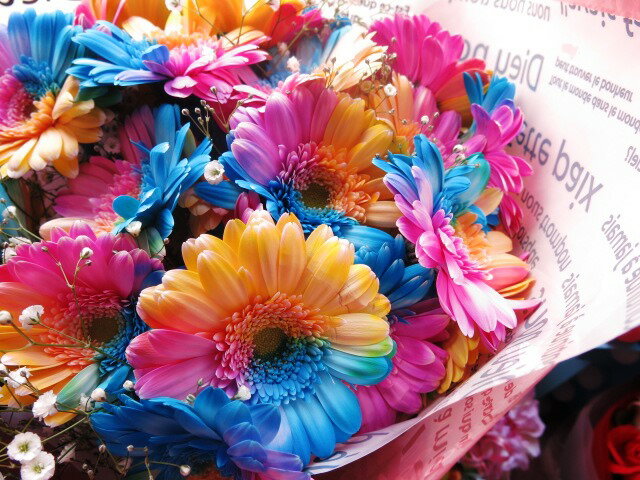 �쥤��ܡ������٥顡��«���쥤��ܡ������٥顡25�ܡ���«�����ץ饤���ʥե����եȡ��쥤��ܡ������٥�