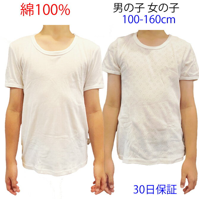 2枚セット コットン100% やわらか肌着 半袖丸首Tシャツ 100cmから160cmまで 綿100% ジュニア メンズ レディース インナー キッズ 男性下着 男の子 女の子 子供下着 子供用下着 子ども こども 肌着 ボーイズ ジュニア下着 スクール