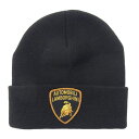 Supreme シュプリーム 20SS Automobili Lamborghini Beanie ランボルギーニ ビーニー ニット キャップ ブラック系 【極...