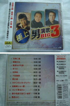 1836・38★極上男演歌BIG3/大御所&新星★北島三郎/鳥羽一郎/小林旭/三山ひろし/秋岡秀治/和田青児★全24曲/歌詞付★CD2枚セット新品★1707