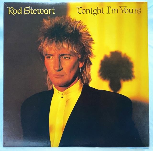 ロッドスチュワート トゥナイトアイムユアーズ 中古レコード LP 輸入盤 20230420のサムネイル