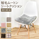 【 母の日 ギフト クーポン 】ムートンシートクッション 短毛タイプ 40×40cm (大判サイズ) 毛皮 ムートンクッション ムートン クッション 座布団 ソ...