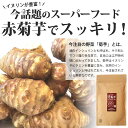 【大感謝セール 期間限定p10倍】菊芋 パウダー 100g 群馬県産 赤菊芋 100% 使用 ※メール便　 菊芋パウダー キクイモ 国産 イヌリン 菊芋茶 きくいも茶 ポイント消化 きくいも 菊芋 パウダー 赤きくいも あかきくいも 菊芋チップス きくいもチップス 送料無料 3