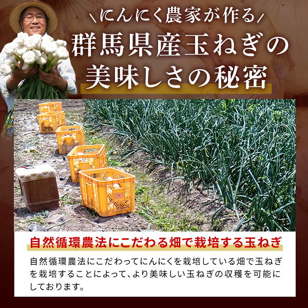 玉ねぎ 約3kg 大小混合 送料無料 たまねぎ 群馬県産 国産 訳あり ※送料：北海道・...