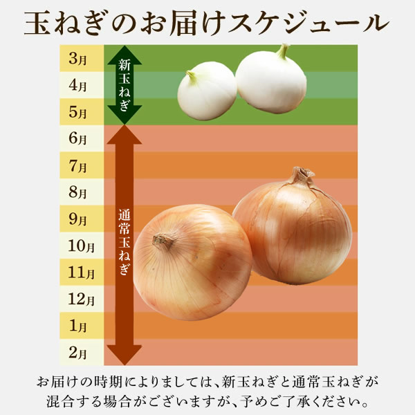 玉ねぎ 約3kg 大小混合 送料無料 たまねぎ 群馬県産 国産 訳あり ※送料：北海道・...