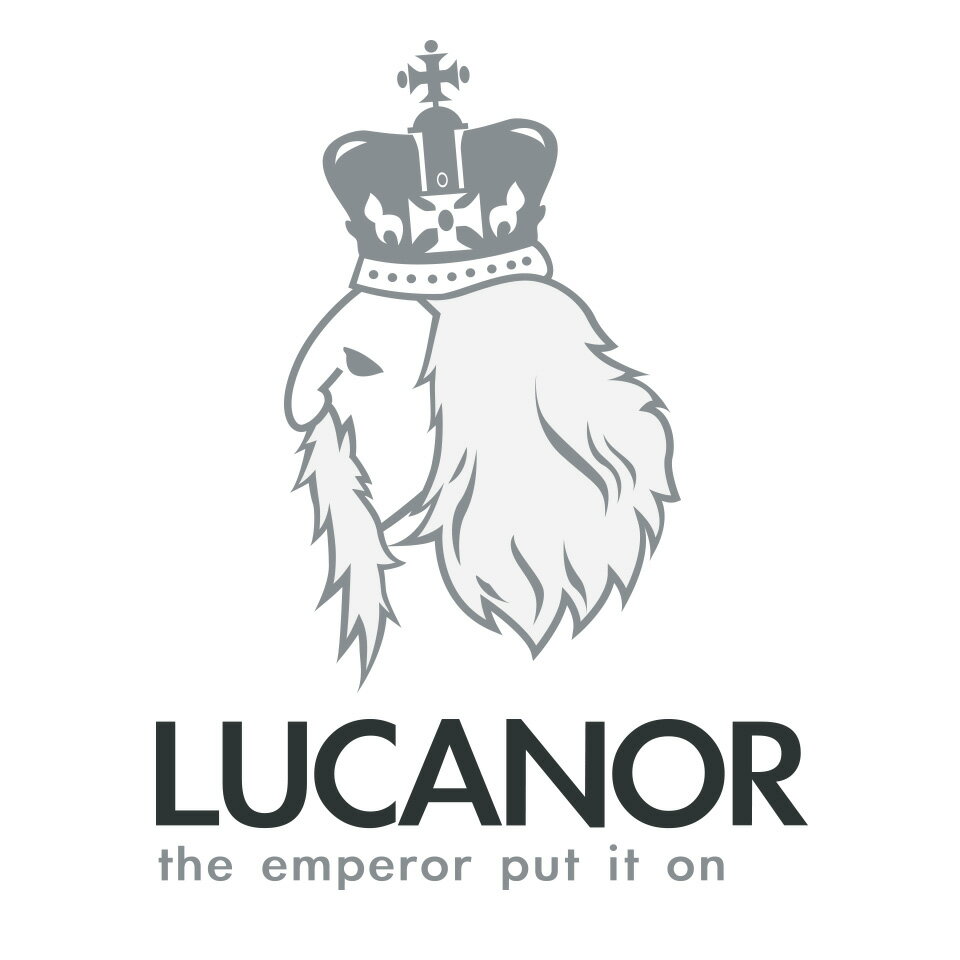 Shop icon