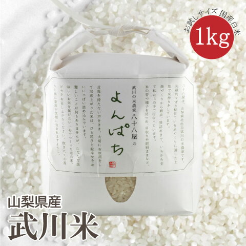 【山梨県産　武川米】 令和元年度 農林48号 新米 よんぱち米 予約 ヨンパチ 白米 精米 1kg お試しサイズ 南アルプス 北杜市 梨北米 武川米 ご飯 ライス 米 おこめ お米