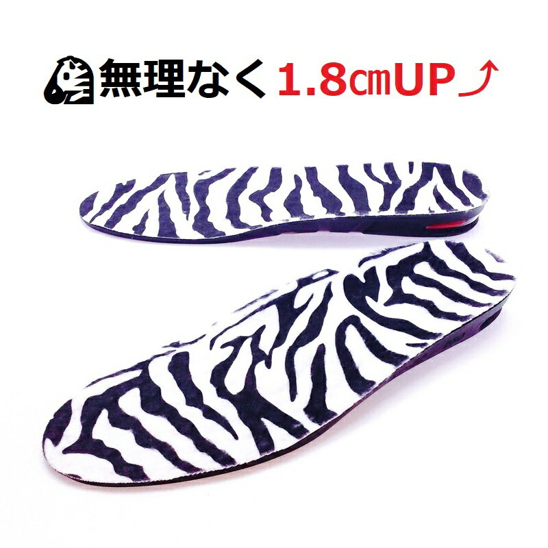 [̵]̵ʤ1.8cmåȥ󥽡륨å߸夲Ӹ쥷塼󥽡ߤ󥺥ǥѤȾ׷ۼýĹå­ĹϫڸZEBRA֥饷ޥ