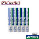 【ポイント2倍】 期間限定祭 YONEX AS600 シャトル エアロセンサ600 5本 5ダース 60球 水鳥練習球 AEROSENSA600 ヨネックス シ...