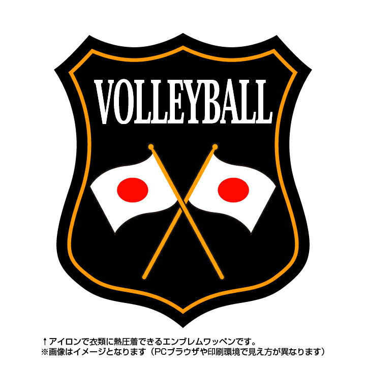バレーボールエンブレム(volleyball)日本国旗デザイン！世界大会や五輪、日本代表応援ワッペン