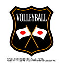 バレーボールエンブレム(volleyball)日本国旗デザイン！世界大会や五輪、日本代表応援ワッペン