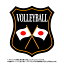 Х졼ܡ륨֥(volleyball)ܹǥءɽåڥ