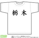 栃木Tシャツ(ドライスポーツT-shirt：ホワイト)