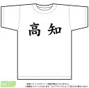 高知Tシャツ(ドライスポーツT-shirt:ホワイト) 高知Tシャツ(ドライスポーツT-shirt:ホワイト)
