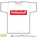 バレーボールTシャツ(volleyball)ストリート系BOXロゴデザインのドライスポーツTシャツ：白