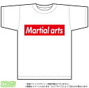 武道Tシャツ(martial arts)ストリート系BOXロゴデザインのドライスポーツTシャツ:白