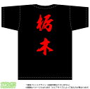 栃木ティーシャツ「全国ご当地T-shirt」背面にドカンと目立つ都道府県名入り(綿Tシャツ：ブラック)