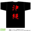 沖縄ティーシャツ「全国ご当地T-shirt」背面にドカンと目立つ都道府県名入り(綿Tシャツ：ブラック)