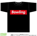 {EOTVc(bowling)Xg[gnBOXSfUC̖TVcF