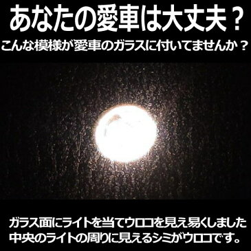 02P01Oct16 酸性特殊クリーナー「WSC」ウォータースポット 除去剤 （以下検索用ワード ガラスクリーナー 除去剤 水垢 イオンデポジット 汚れ落とし 輪じみ シミ うろこ ウロコ 撥水コート剤 リアガラス 車 ガラス撥水剤 ウィンドー 塗装 シリカスケール ブレーキダスト ）