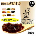 【送料無料】国産 生タピオカ ストロー10本セット300g（約18杯分）11味から選べるタピオカ