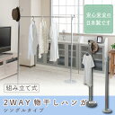 2WAYハンガー&物干し シングルタイプ 【機能的】 【02P24Oct15】【smtb-k】【kb】【RCP】