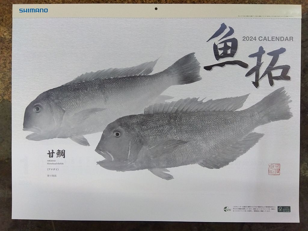 シマノ2024年★魚拓カレンダー★店名印無のサムネイル