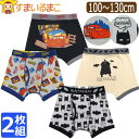 下着 男の子 キャラクター ボクサーブリーフ ボクサーパンツ 2枚 セット 前開き 100cm 110cm 120cm 130cm カーズ バットマン set0...