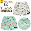 サーフパンツ 水着 キッズ 子供 恐竜図鑑総柄 男の子 UVカット 100cm 110cm 120cm 130cm 140cm EGエメラルドグリーン KNキナリ B276063 BIT'Z ビッツ 子供服 ジュニア 子ども 海パン スイミングパンツ 男の子水着 ブランド水着 トランクス水着 恐竜柄