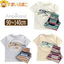 【割引商品】 男の子 ほねほねティラノサウルス柄 半袖 Tシャツ ハーフパンツ 上下 セット 90cm 100cm 110cm 120cm 130cm 140c...