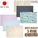 訳あり ランチョンマット 40 60cm 日本製 3枚 セット 大判 子供用 小学校 小学生 給食 40cm×60cm 女の子 男の子 キッズ 色柄おまかせ set1370 nicomako ニコマコ ネコポス便は送料無料 ランチクロス ナフキン 給食ナフキン 綿100% 大きめ ra-k zp010