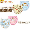 下着 女の子 キャラクター 可愛い嘘のカワウソ ショーツ 2枚組 100cm 110cm 120cm A水×黄 B桃×水 set1104 Lommy メール便は...