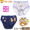 下着 女の子 ショーツ パンツ ディズニー キャラクター 2枚 セット 140cm チップとデール set1432 Disney ネコポス便は送料無料 チップ&...