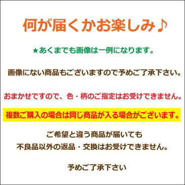 女の子 おまかせ トップス 80cm 90cm 95cm 100cm 110cm 120cm 130cm 140cm 150cm 160cm 色柄おまかせ j0958 袖なし 半袖 長袖 フード付きパーカー 子供服 キッズ ジュニア 単品