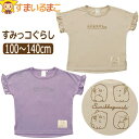 ݂R炵  TVc t ̎q LbY  TVc LN^[ 100cm 110cm 120cm 130cm 140cm BEx[W PUp[v SA-001 TGbNX lR|Xւ͑ q WjA T Jbg\[ gbvX 2k5 zs210 yob2308