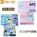 女の子 男の子 抗菌防臭 ハンカチ 5枚組 セット 約30×30cm set1187 ネコポス便は送料無料 子供 キッズ ジュニア お手拭き 汗拭き 綿100%...