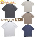 メンズ 大きいサイズ ちょっと大きめTシャツ 半袖Tシャツ 3L 4L ブラック ホワイト ベージュ モカ ネイビー 62239-1 Lap wing メール便は送料無料♪ 紳士 男性 綿100％ 半袖 トップス Tシャツ 半T USAコットン