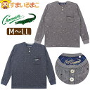 クロコダイル メンズ トレーナー ハーフボタン 長袖 ダンボールニット 総柄 M L LL 35612-20710 CROCODILE 大きいサイズあり メール...
