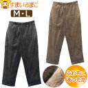 ルームパンツ メンズ あったか もこもこ とろける ふわとろ パジャマ 下だけ M L 312754 宅配便送料無料 マイクロファイバー 紳士 男性 長ズボン ...