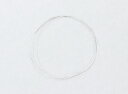 ニクロム線 φ0.1×300mm ArTec ニクロム線 φ0.1×300mm