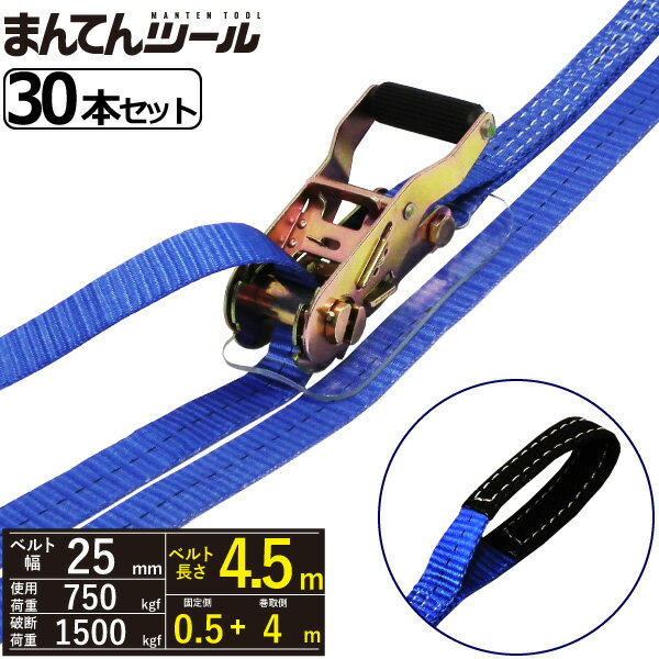 箱売30本 ラッシングベルト アイタイプ0.75ton 幅25mm×長さ0.5+4m FREAK ラッシングベルト ベルト荷締機