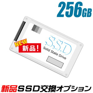 SSD 256GBʿʥȥ졼򴹥ӥŹťѥ󤴹ץ