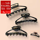 ALEXANDRE DE PARIS アレクサンドル ドゥ パリ ヘアクリップ ACCL 17417 02 レディース 髪留め ヘアアクセサリー カラー4色【p...