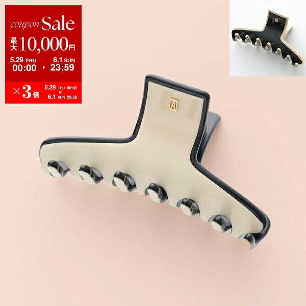 【5/29～6/1限定ポイント3倍】ALEXANDRE DE PARIS アレクサンドル ドゥ パリ ヘアクリップ ACCM-18169-03 レディース 髪留め ヘアアクセサリー カラー2色【po_sannn】のサムネイル