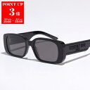 Dior ディオール サングラス Wildior S2U CD4003...(4)